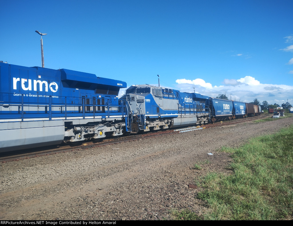 RUMO 2562